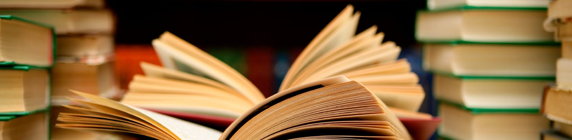 Auch in Deutschland passieren Ehrenmorde – wie dieses Buch schildert. Foto: Abhi Sharma