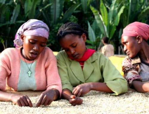 Äthiopien: Kampf gegen Genitalverstümmelung