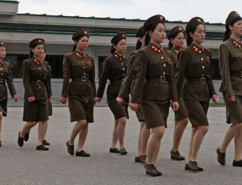 IGFM Nordkorea-Report 3-2017