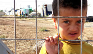 Seit dem Überfall des IS auf Shingal im August 2014 ist die IGFM mit Hilfsprojekten im nordirakischen Kurdistan aktiv. Die IGFM unterstützt in den dortigen Flüchtlingslagern Alphabetisierungs-, Englisch- und PC-Kurse, Erste-Hilfe- und Brandschutzkurse bis hin zur Sport- und Musikförderung.