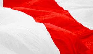 wehende Flagge der Demokratiebewegung Belarus