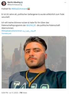 Häusling über Milad Zohrevand